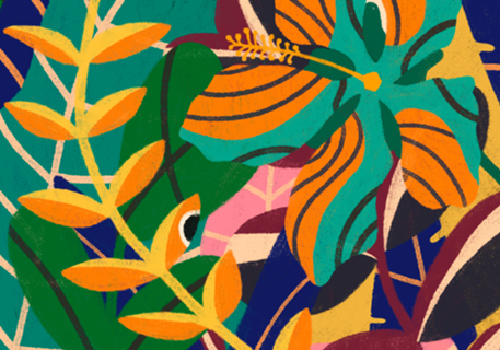 Plantas diversas