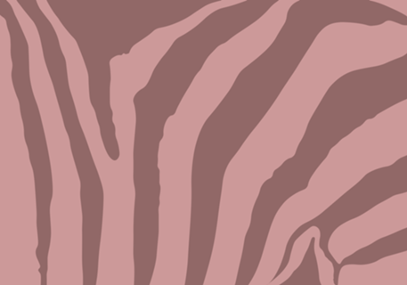 Pink Zebra