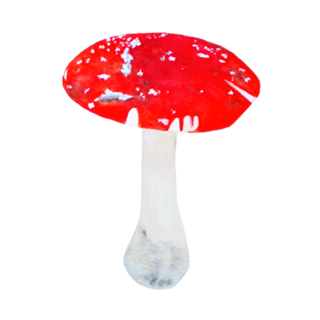 Mushroom
