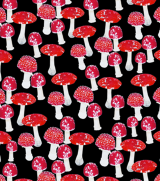 Mushroom