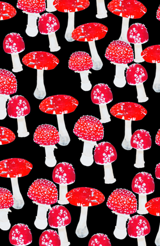 Mushroom