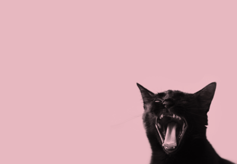 ROAR