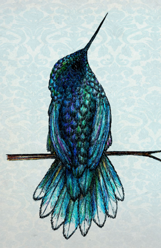 Hummingbird