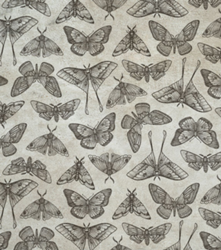 Lepidoptera Beige