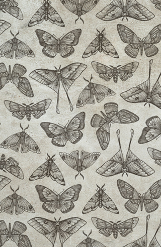 Lepidoptera Beige