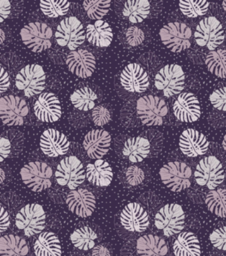 Purple Monstera