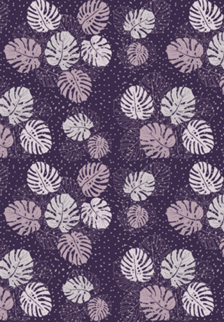Purple Monstera