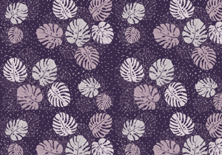 Purple Monstera