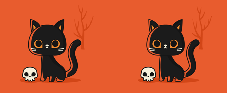 Black Cat l