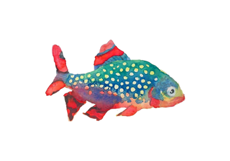Peixinho