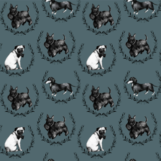 Cachorros