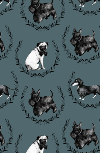 Cachorros