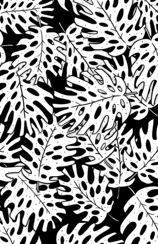Monstera