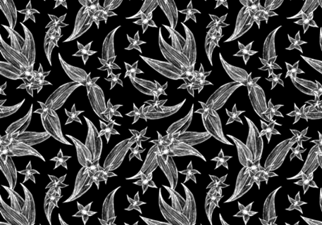 Jardim de flores inventadas - Preto com branco