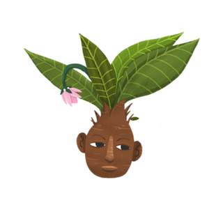 Mandrake