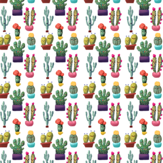 Cactus
