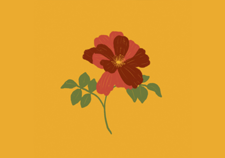 Primavera
