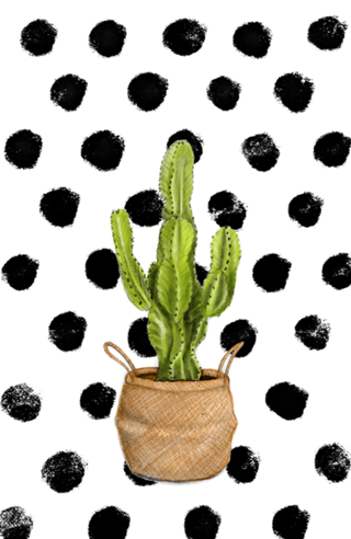 Cacto