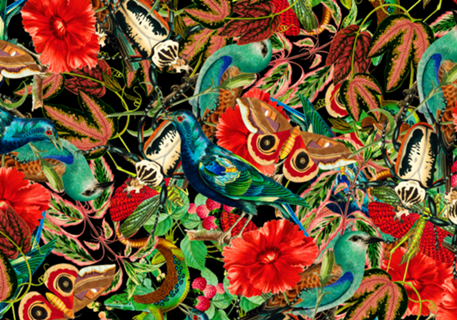 Tropical Mess