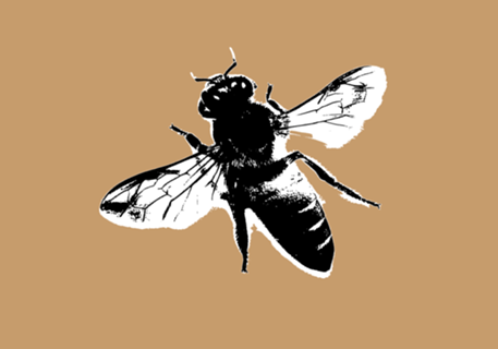 Mosca
