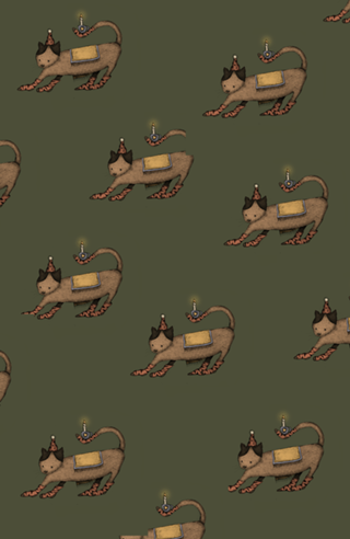 Gato de Meias