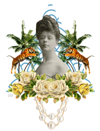 Musa Amarela