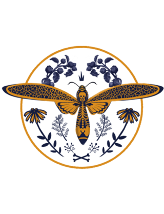 Borboleta caveira