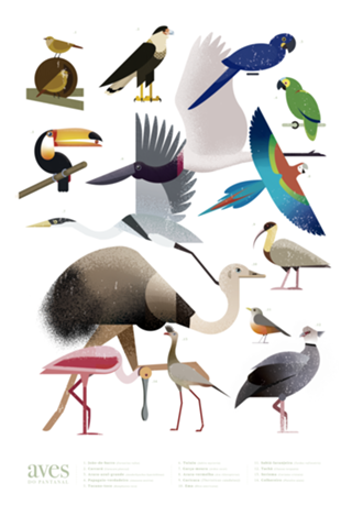Aves do Pantanal