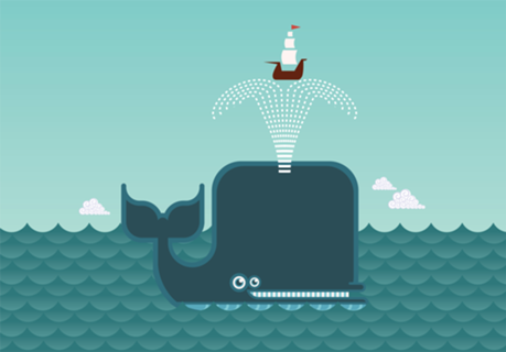 Whale, whale, whale!