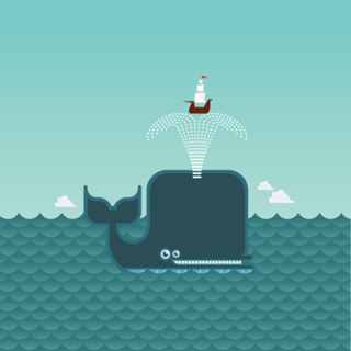 Whale, whale, whale!
