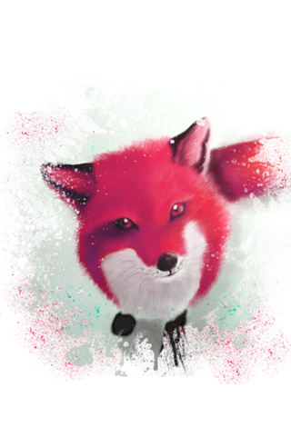 Snow Fire Fox