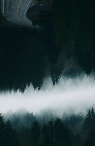 Upsidedown