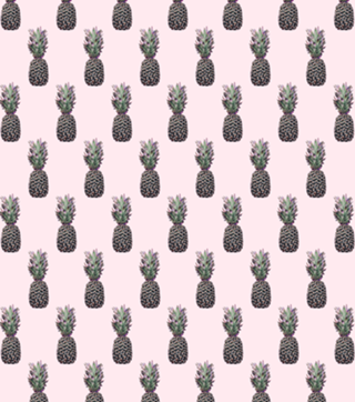 Abacaxi lovers