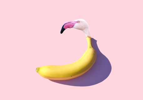 Flamingo Banana