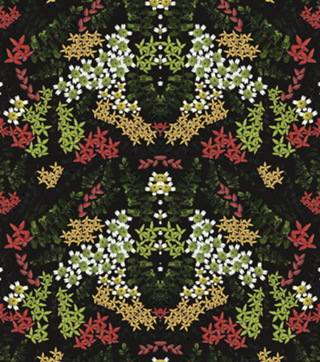 Ramos e Flores