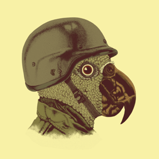 Soldado Papagaio