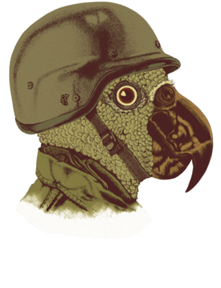 Soldado Papagaio