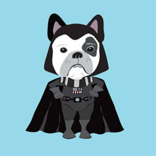 Darth Cão