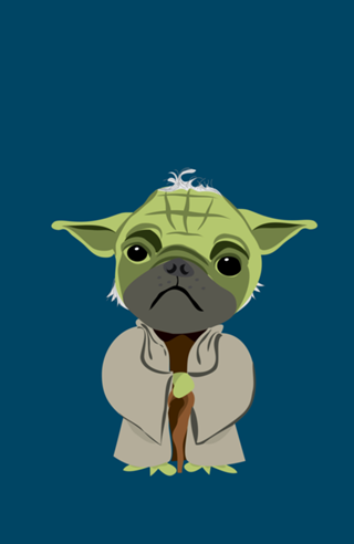 Cão Yoda 