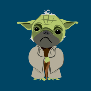 Cão Yoda 