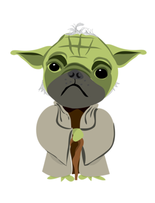 Cão Yoda 