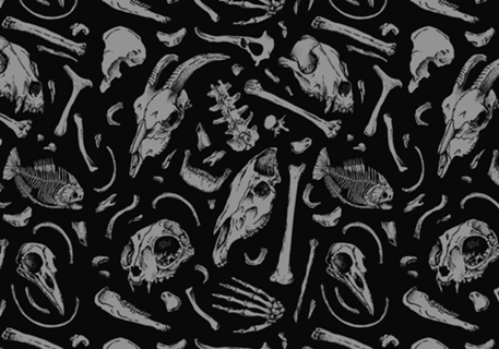 Bones