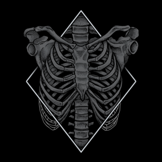 Skeleton