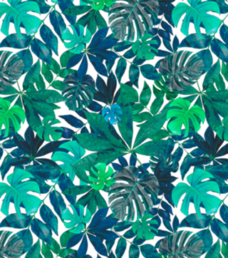 Folhas