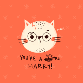 You're a wizard, harry 