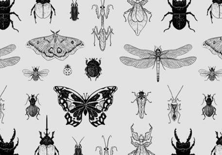 Insectarium