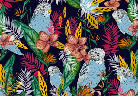 Periquitos Tropicais