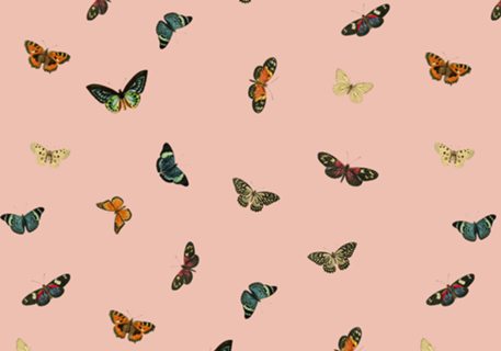 Twiggy Surprise Butterflies