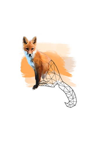 Watercolor Fox