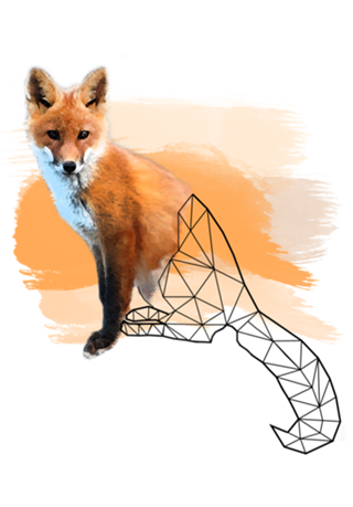 Watercolor Fox